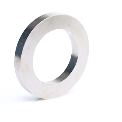 Permanent Magnet Ring Shape NdFeB Magnet (N35